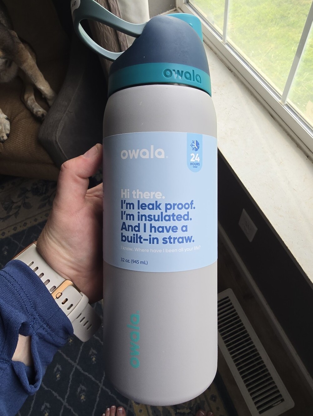 Owala 32oz Insulated Water Bottle - Light Gray with Teal